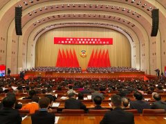 关注上海两会｜现场：政协316件提案，经济类占比最高